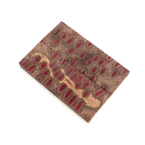 Banksia Pod Scales - Red (WS2-S022)