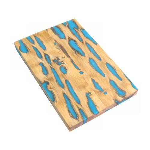 Cholla Cactus Scales - Turquoise (WS3-S006)