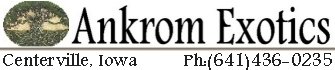 Ankrom Exotics